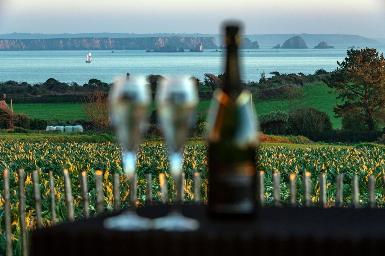 Vue A Couper Le Souffle - Villa De Charme Avec Spa En Bord De Mer - Pointe Finistere Plougonvelin Εξωτερικό φωτογραφία